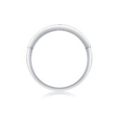 Anillo Poema de Plata y Moissanita, vista alternativa 3